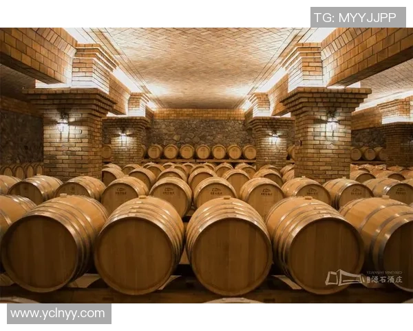 足球球星与红酒的完美融合品味之旅 品鉴明星们的独特酒庄传奇